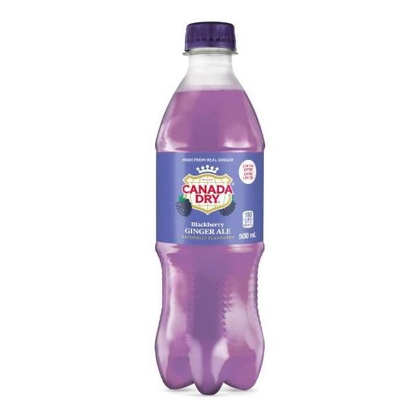 Canada Dry 24 x 500ml Sparkling Beverage Bottles Blackberry