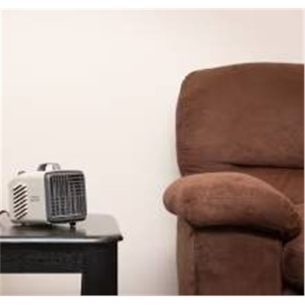 Thermo Sphere 1,500W Metal Personal Shop Heater with Thermostat