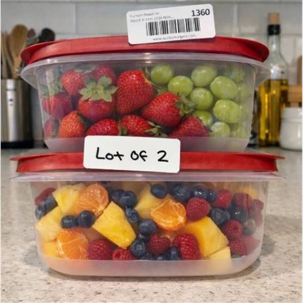 Two Rubbermaid EasyStore Storage Containers with Red Lids