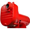 Image 1 : Red Lion Surface Effluent Pump 621810