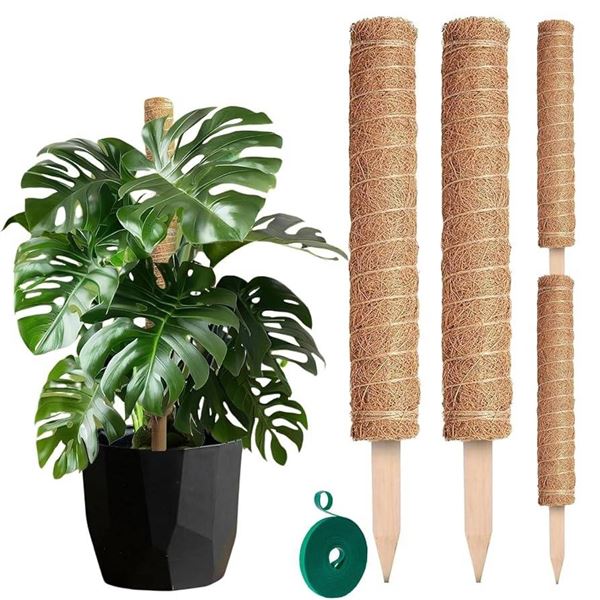 Deco Collectis Coconut Stakes for Plant Support – Roll