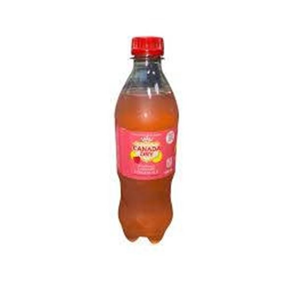 Canada Dry Raspberry Lemonade Ginger Ale, 24 x 500mL Bottles