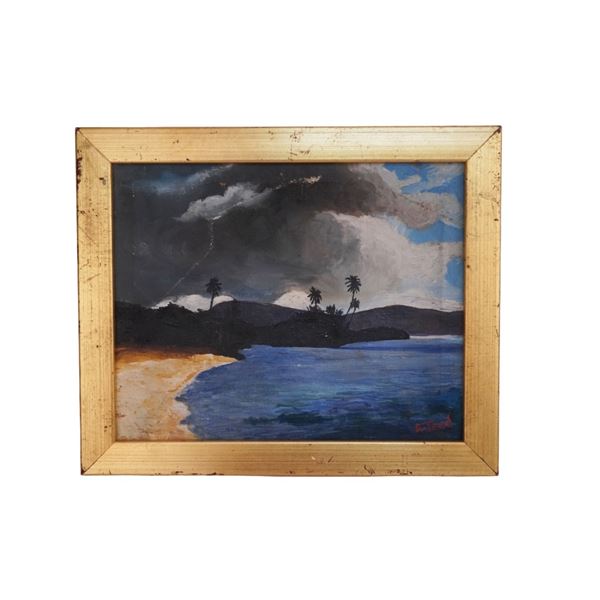 Tropical Landscape with Stormy Skies