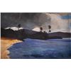 Image 2 : Tropical Landscape with Stormy Skies