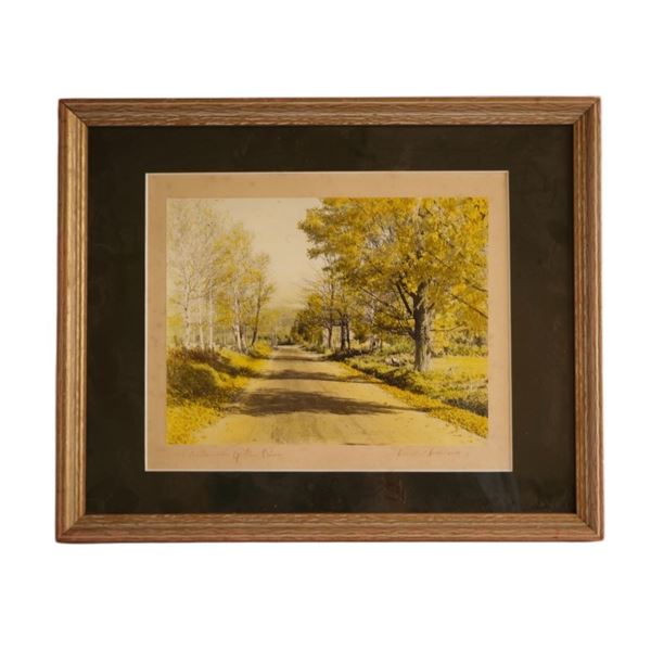 David Davidson - Colored Landscape Photo