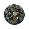 Image 8 : Murano & American Studio Glass Paperweights