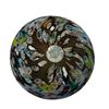 Image 9 : Murano & American Studio Glass Paperweights