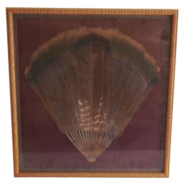 Framed Turkey Feather Hand Fan