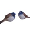 Image 2 : B&G "The Optimist & The Pessimist" Titmouse Birds