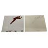 Image 1 : The Lone Ranger Tonto Animation Production Cel