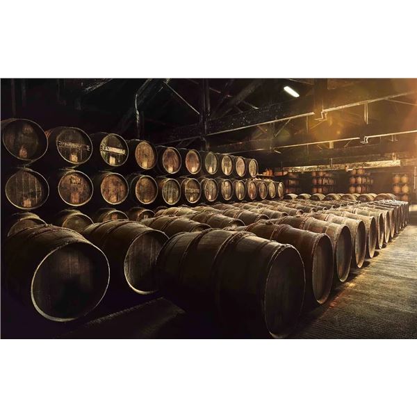 Bordeaux & Cognac Wine and Spirits Escape