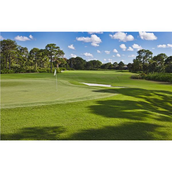 2026 US Open Golf Experience