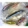 Image 3 : 24 Fishing Lures