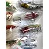 Image 4 : 24 Fishing Lures