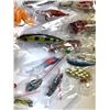 Image 5 : 24 Fishing Lures