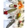 Image 7 : 24 Fishing Lures
