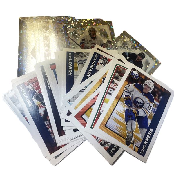 NHL Stickers for the 2023 - 2024 Album