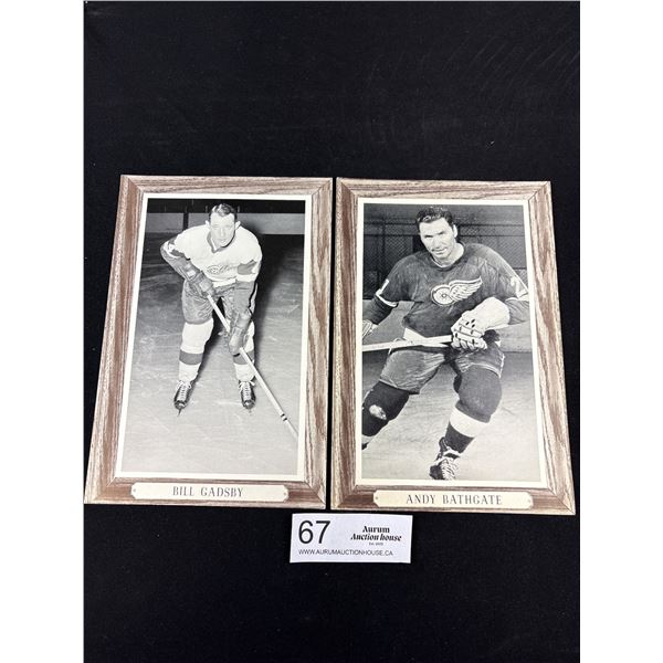 196-1967 Andy Bathgate and Bill Gadsby Group 3 Wood Grain Bee Hive Hockey Photo