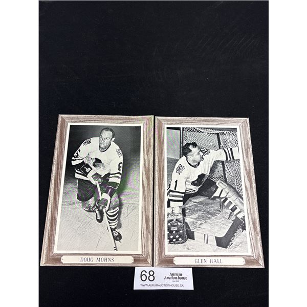 1964-67 Glenn Hall and Doug Mohns Group 3 Wood Grain Bee Hive Hockey Photo