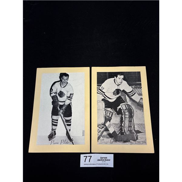 1944-64 Glenn Hall and Pierre Pilote Group 2 Bee Hive Photo