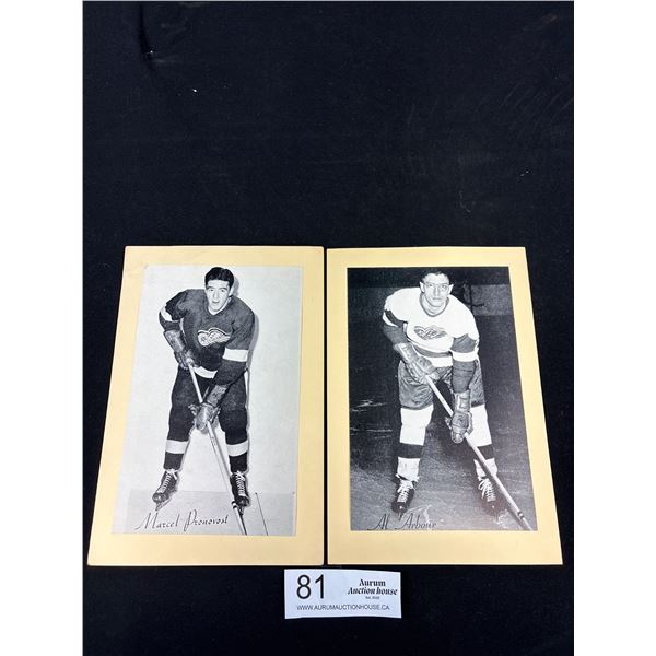 1944-64 Al Arbour and Marcel Pronovost Group 2 Bee Hive Photo