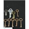 Image 2 : Small Skeleton Key Lot