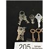 Image 3 : Small Skeleton Key Lot