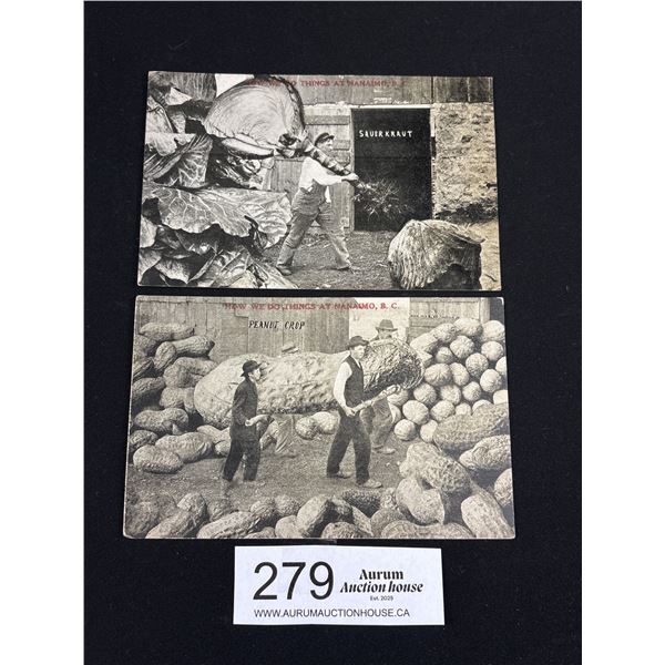 2 Early 1900's "Nanimo" Funny Postcards