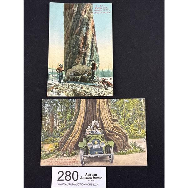 2 Early 1900's "Big Tree" Vancouver Postcards