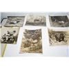 Image 1 : 1930’s 8x10” Rocky Mountain Wildlife Photographs