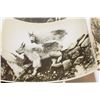 Image 2 : 1930’s 8x10” Rocky Mountain Wildlife Photographs