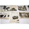 Image 1 : 1930’s 8x10” Rocky Mountain Wildlife Photographs