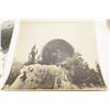 Image 3 : 1930’s 8x10” Rocky Mountain Wildlife Photographs