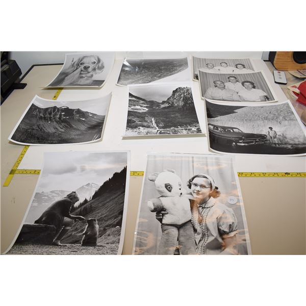 Vintage 8x10” Black & White Photographs