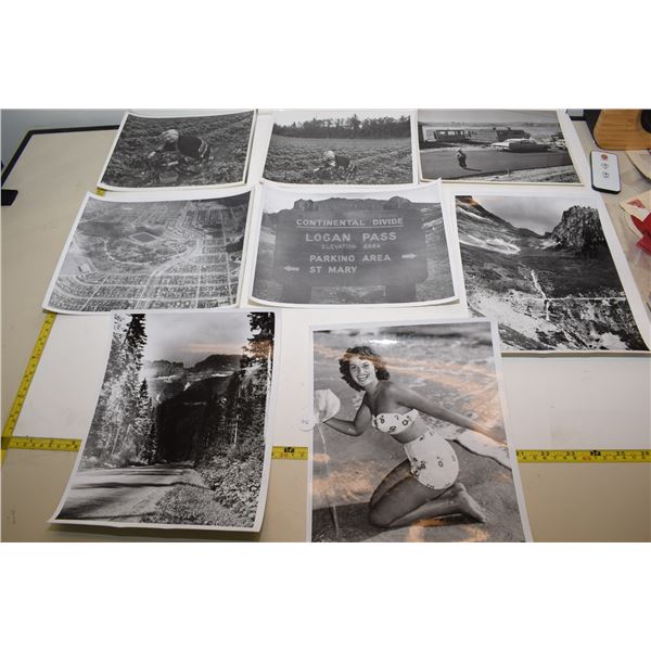 Vintage Vernacular 8x10” Black & White Photos