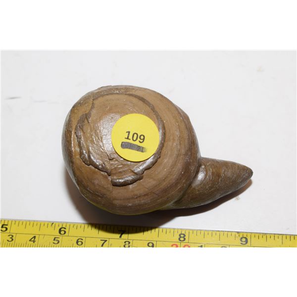 Unique Rock / Fossil