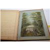Image 10 : 1879 Diary/Poem/Art Book (Some Loose Pages)