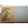 Image 5 : 1879 Diary/Poem/Art Book (Some Loose Pages)