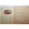 Image 8 : 1879 Diary/Poem/Art Book (Some Loose Pages)
