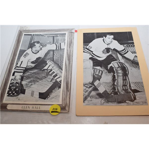 (2) Glenn Hall Hockey Cards (fr. Humbolt, SK)