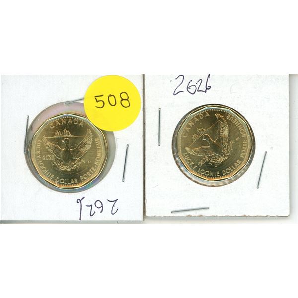 (2) 2026 Canadian "Lucky Loonie" 1-dollar coins produced by the Royal Canadian Mint.