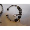 Image 3 : CHARM BRACELET LOT
