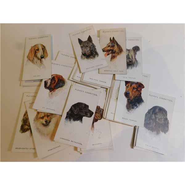 PLAYER’S CIGARETTE CARDS DOGS