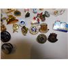 Image 3 : LAPEL PIN LOT