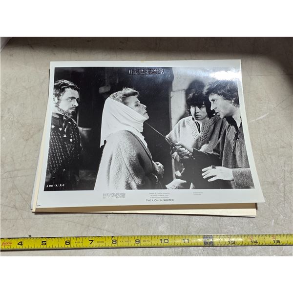 Vintage hepburn the lion in  winter