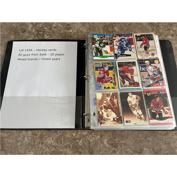Binder with 20 pages of different hockey cards. 180 cards total. All guys from Sasky! Trottier, Habs