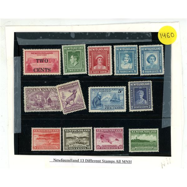 Newfoundland 13 Different Stamps All MNH.