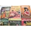 Image 2 : Vintage Racy Paperbacks