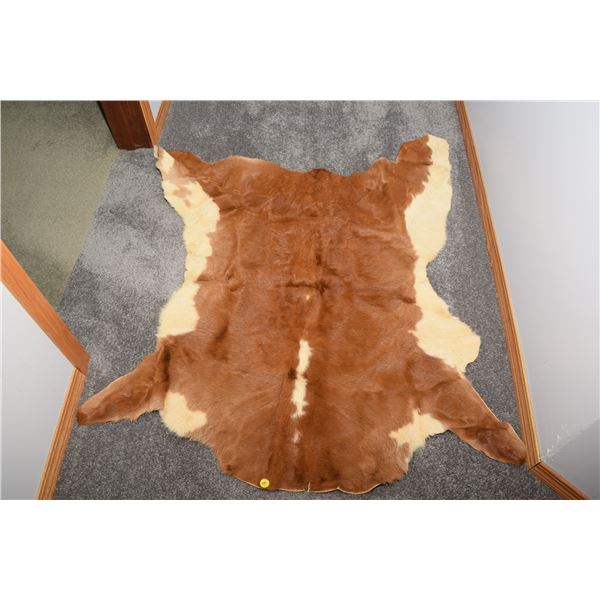 Calf/Cow Hide