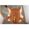 Image 1 : Calf/Cow Hide